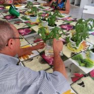 Laboratorio di giardinaggio 10 luglio 2018